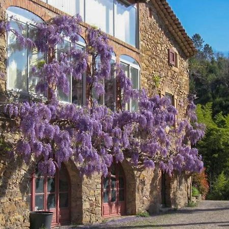 Chambre D'Hote Mas D'Alzon A St Jean Du Pin La Barriere Bagian luar foto